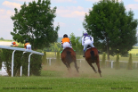 Fotogalerie