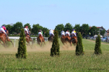 Fotogalerie