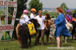Fotogalerie