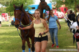 Fotogalerie