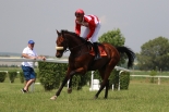 Fotogalerie