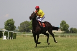Fotogalerie