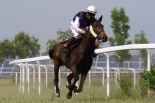 Fotogalerie