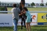 Fotogalerie