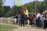 Fotogalerie