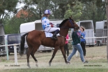 Fotogalerie