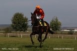 Fotogalerie