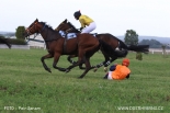 Fotogalerie