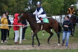 Fotogalerie