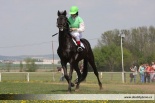 Fotogalerie