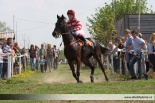 Fotogalerie