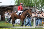 Fotogalerie