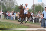 Fotogalerie