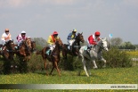Fotogalerie