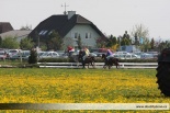 Fotogalerie