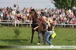 Fotogalerie