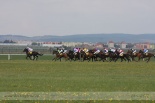 Fotogalerie