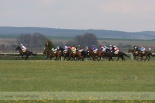 Fotogalerie