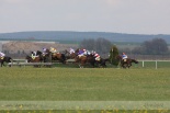 Fotogalerie