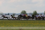 Fotogalerie