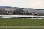 Fotogalerie