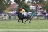 Fotogalerie