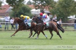 Fotogalerie