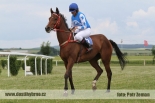 Fotogalerie