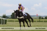Fotogalerie