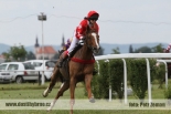 Fotogalerie