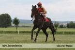 Fotogalerie
