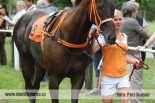 Fotogalerie