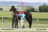 Fotogalerie