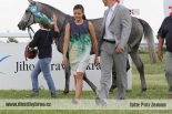Fotogalerie