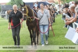 Fotogalerie