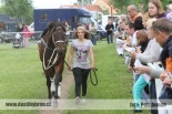 Fotogalerie