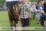 Fotogalerie