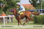 Fotogalerie