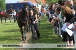 Fotogalerie