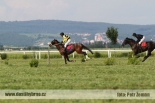 Fotogalerie