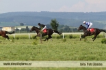 Fotogalerie