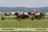 Fotogalerie
