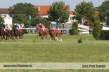 Fotogalerie