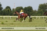 Fotogalerie