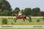 Fotogalerie