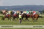 Fotogalerie