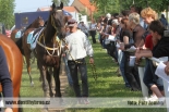 Fotogalerie