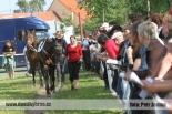 Fotogalerie