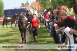 Fotogalerie
