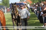 Fotogalerie